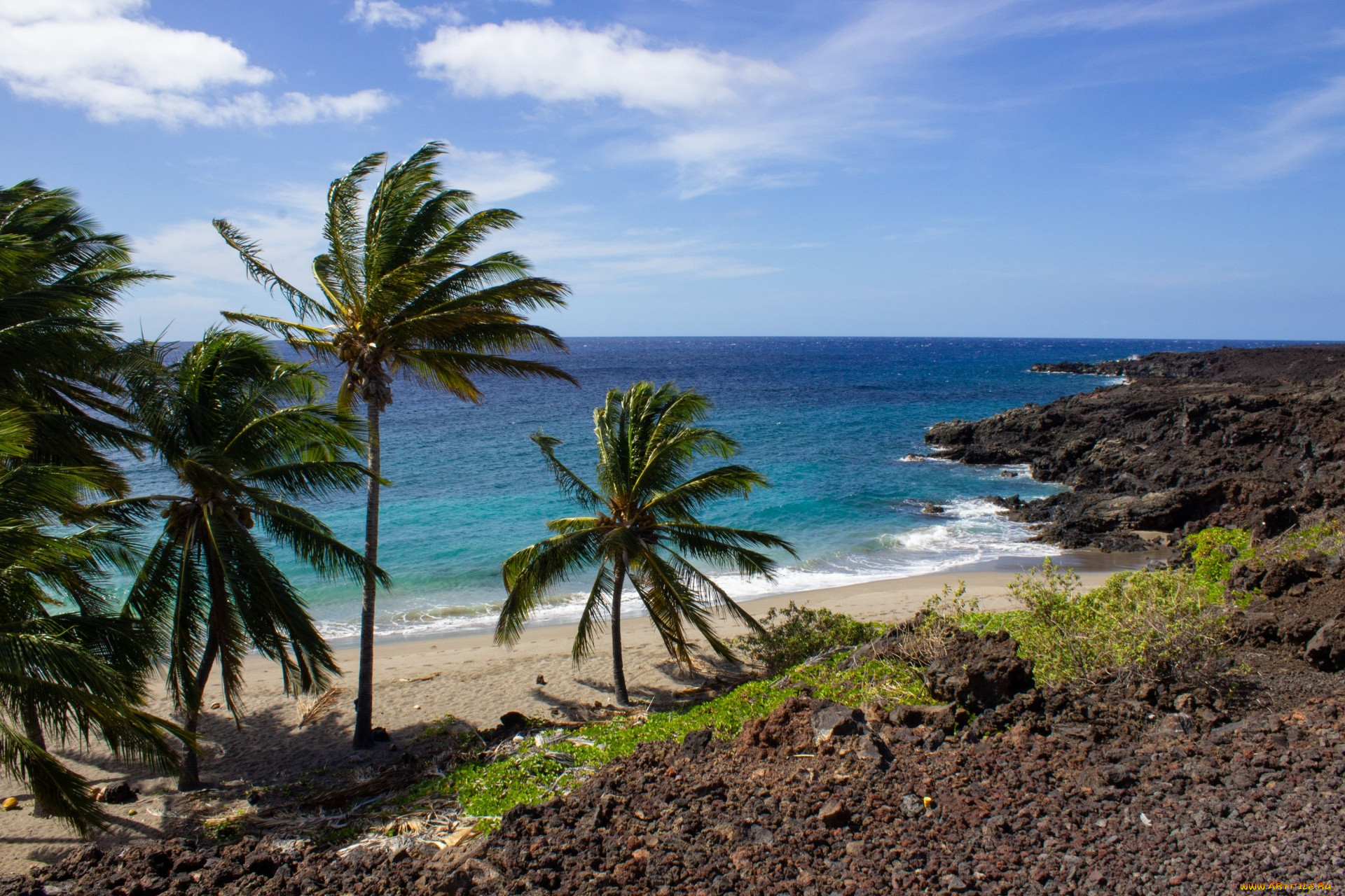 tropical hawaii, , , tropical, hawaii